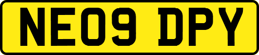 NE09DPY
