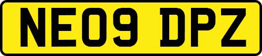 NE09DPZ