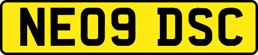NE09DSC