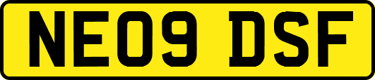 NE09DSF