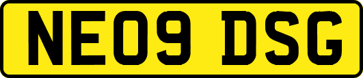 NE09DSG