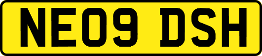 NE09DSH