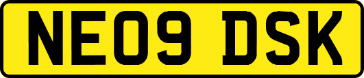 NE09DSK
