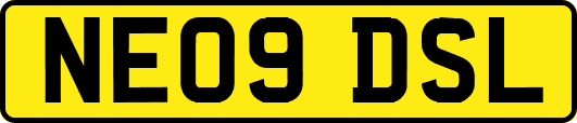NE09DSL