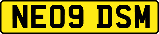 NE09DSM