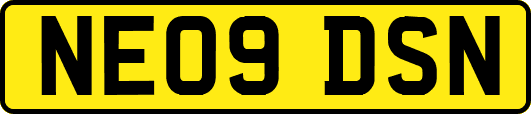 NE09DSN