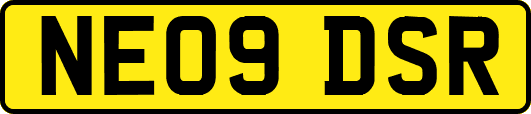 NE09DSR