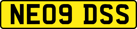 NE09DSS