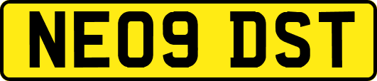 NE09DST