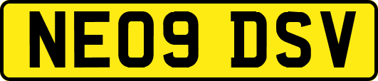 NE09DSV