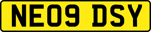 NE09DSY