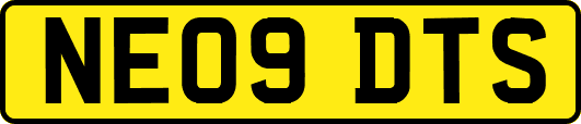 NE09DTS
