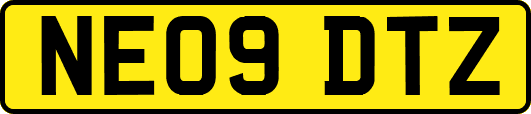 NE09DTZ