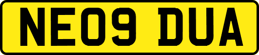 NE09DUA