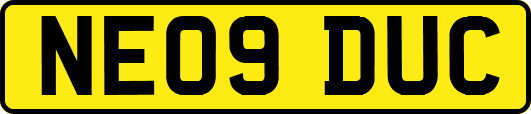 NE09DUC