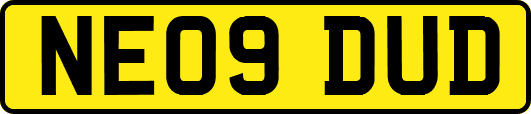 NE09DUD