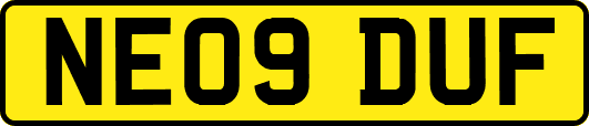 NE09DUF