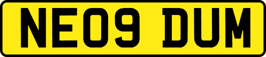 NE09DUM