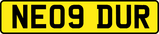 NE09DUR