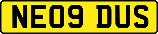 NE09DUS