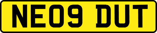 NE09DUT