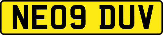 NE09DUV