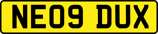 NE09DUX