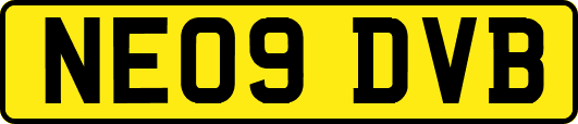 NE09DVB