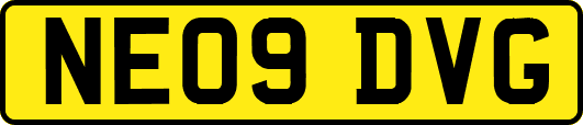 NE09DVG