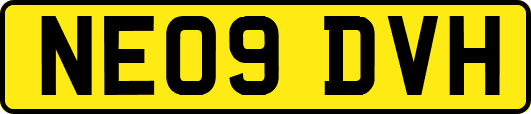 NE09DVH