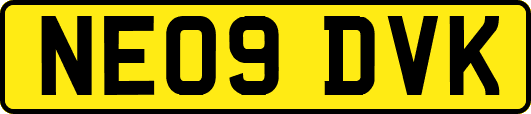 NE09DVK