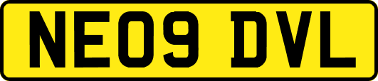 NE09DVL