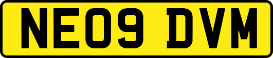 NE09DVM