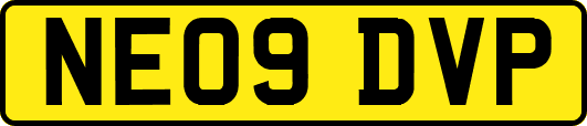 NE09DVP