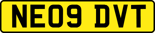 NE09DVT