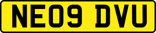 NE09DVU