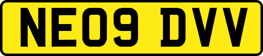 NE09DVV