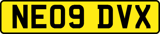 NE09DVX