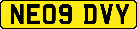 NE09DVY