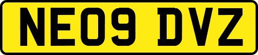 NE09DVZ