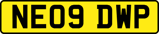 NE09DWP