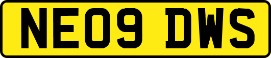 NE09DWS