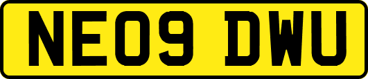 NE09DWU