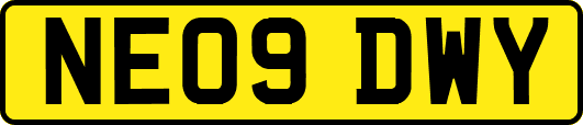 NE09DWY
