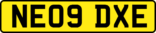 NE09DXE