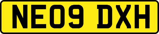 NE09DXH