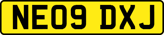 NE09DXJ