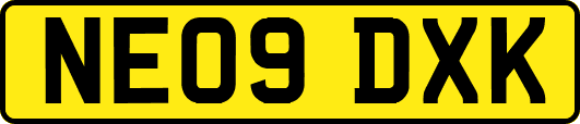 NE09DXK