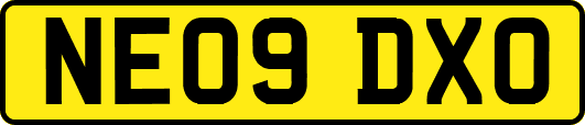 NE09DXO