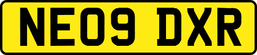 NE09DXR